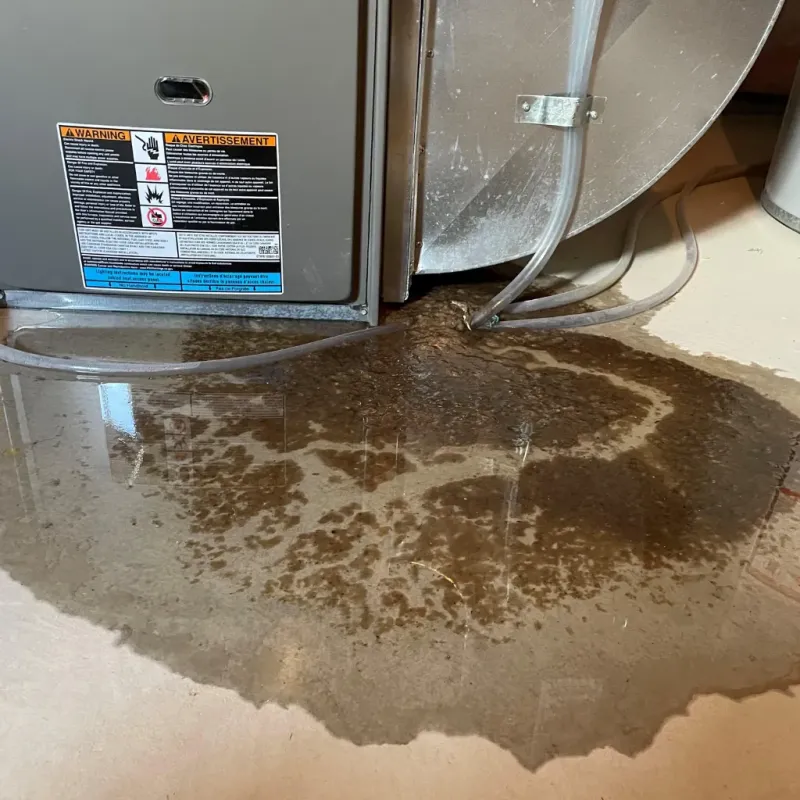 Appliance Leak Cleanup in Valley Park, MO