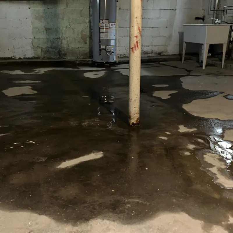 Emergency Water Extraction And Removal in Valley Park, MO
